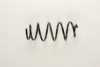 PSA 5002HN Coil Spring
